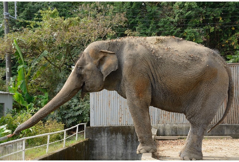 宇都宮動物園