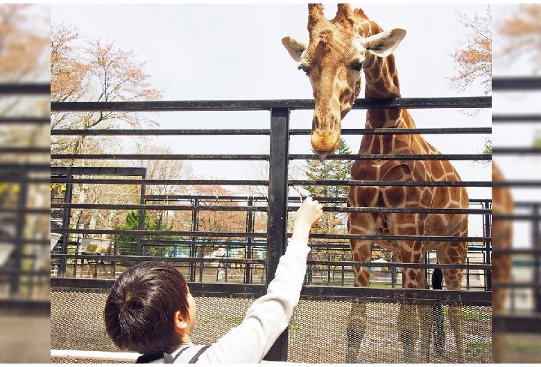 宇都宮動物園