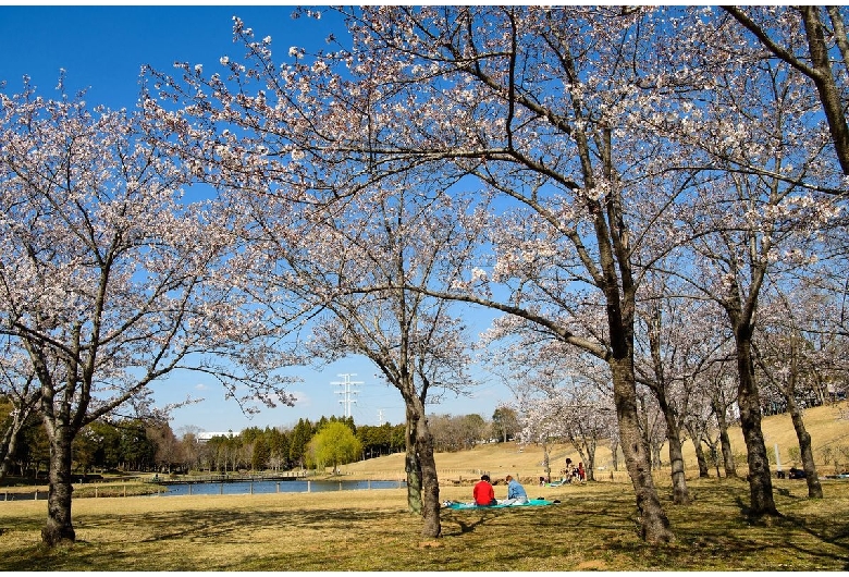 科学万博記念公園