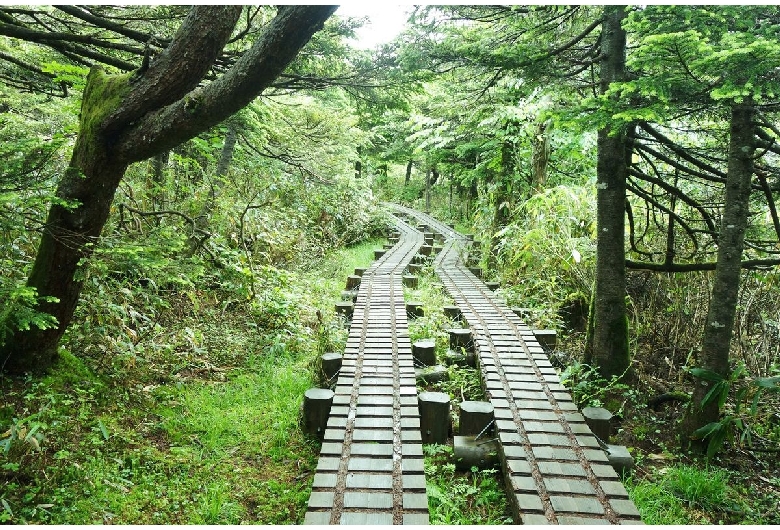 早池峰山