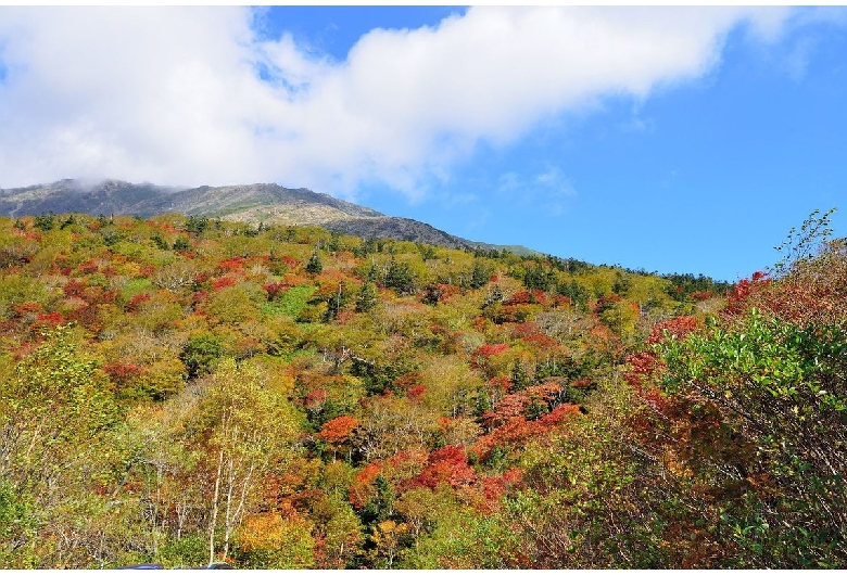 早池峰山