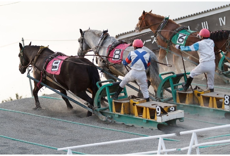 帯広競馬場（ばんえい十勝）