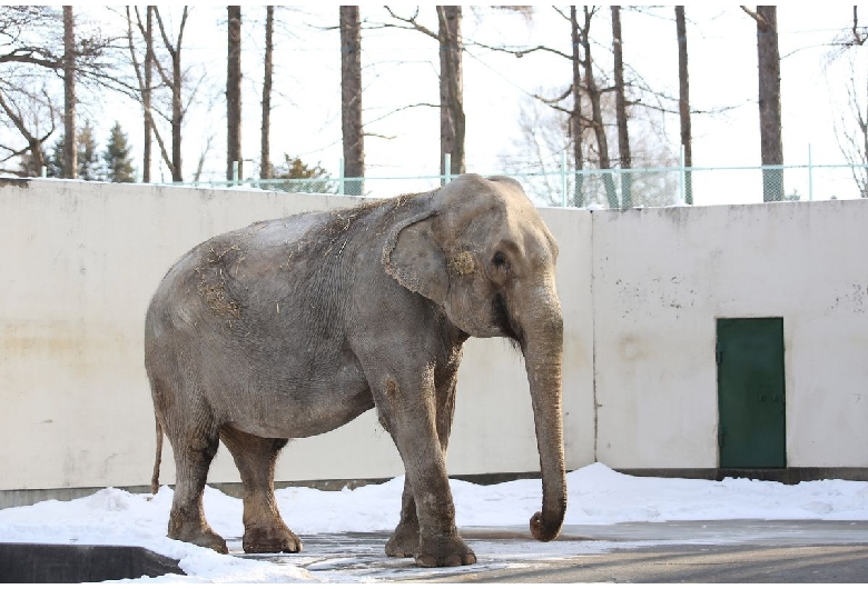 おびひろ動物園