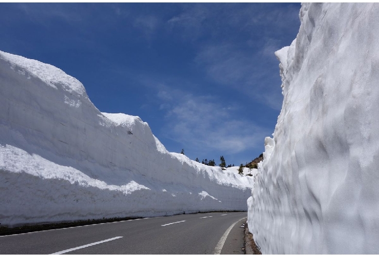 志賀草津道路（長野県側）