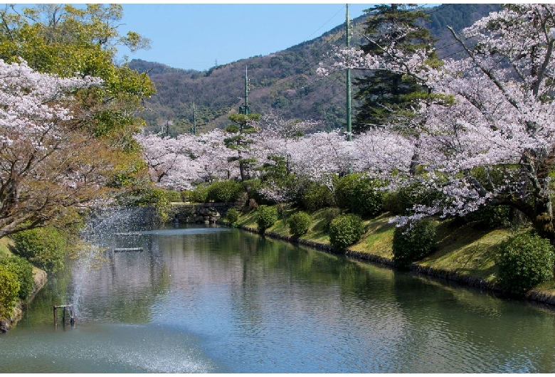 吉香神社