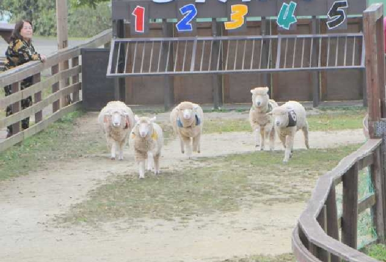 らくのうマザーズ阿蘇ミルク牧場