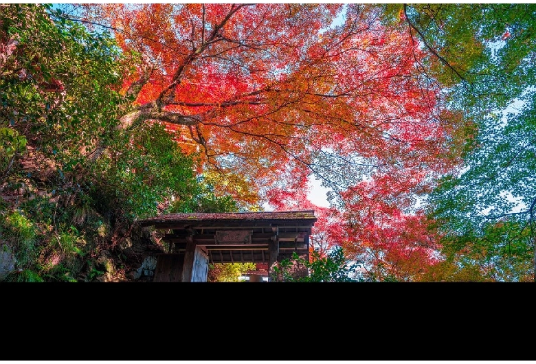 大悲閣千光寺