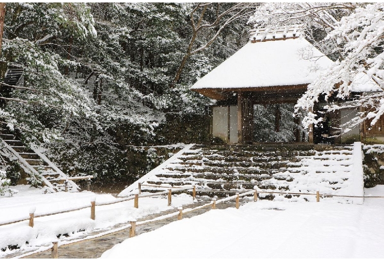 法然院＞京都府 - 京都市街地・嵐山・高雄・鞍馬・大原・伏見