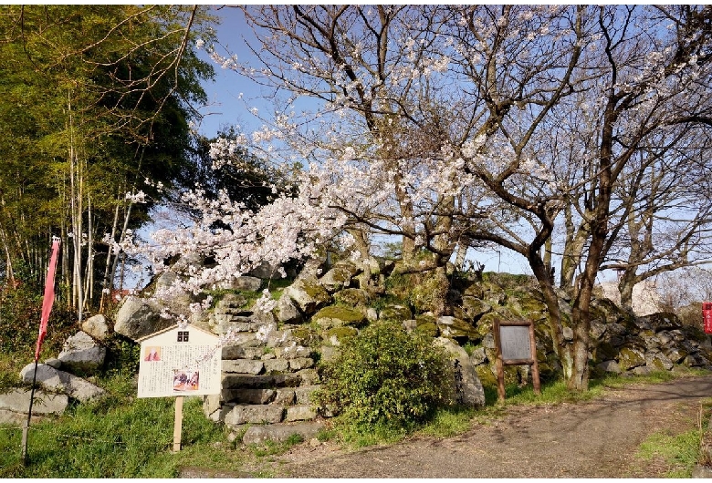 大溝城跡