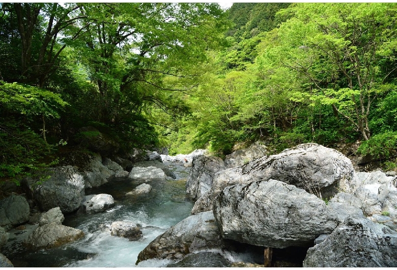 岩屋川渓谷