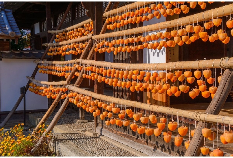 旧高野家住宅（甘草屋敷）