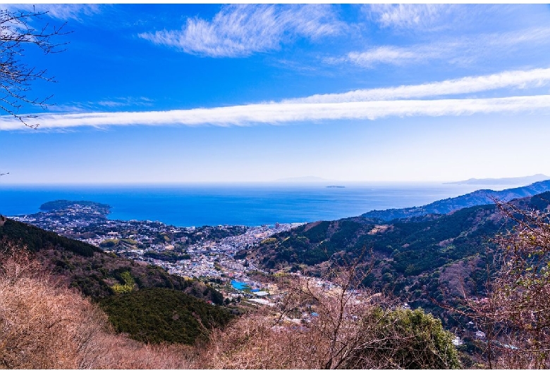 幕山公園（湯河原梅林）