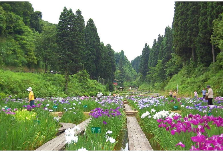 県民公園頼成の森