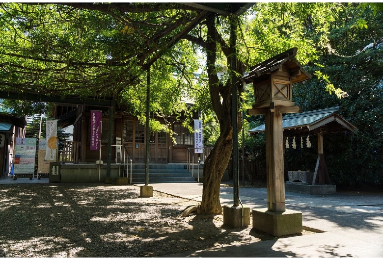 國領神社