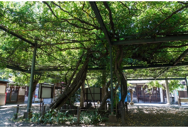 國領神社