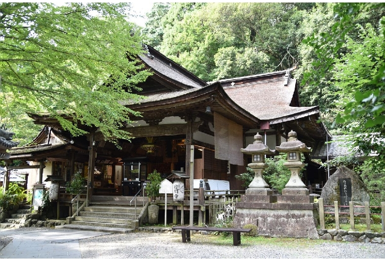 正法寺（藤の寺）