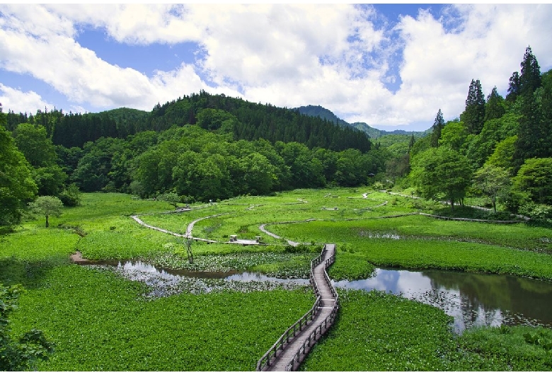 たきがしら湿原