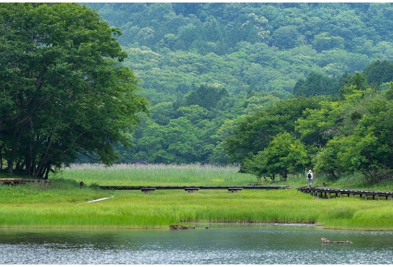 大沼公園