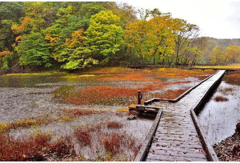 大沼公園