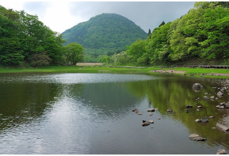 大沼公園