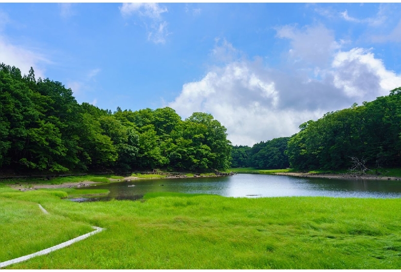 大沼公園