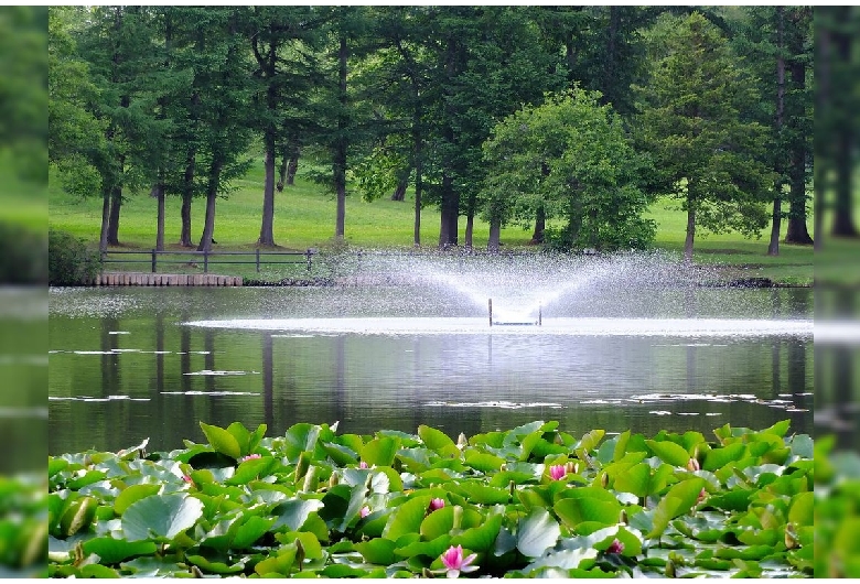 八郎沼公園