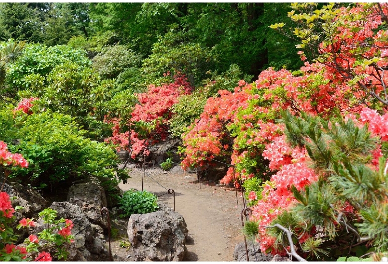 北海道大学植物園