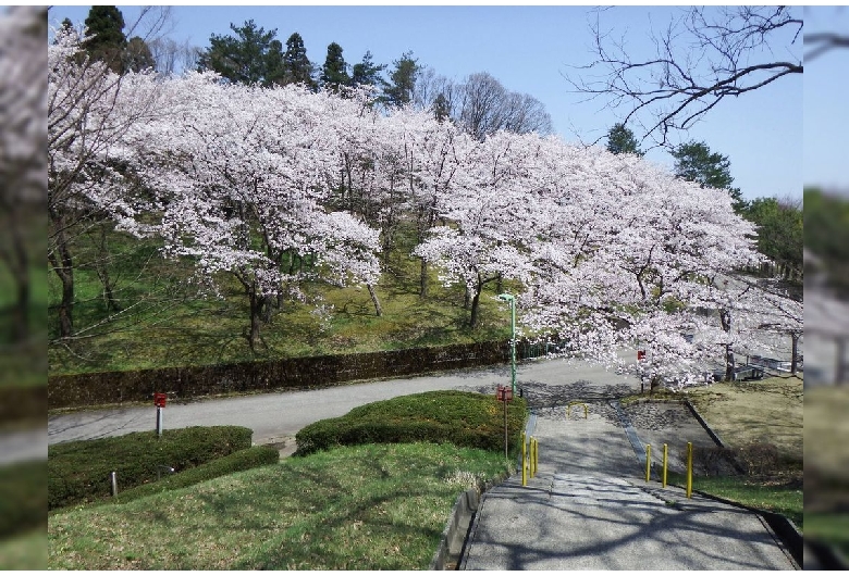 県民公園太閤山ランド