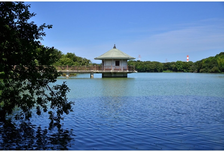 山田池公園