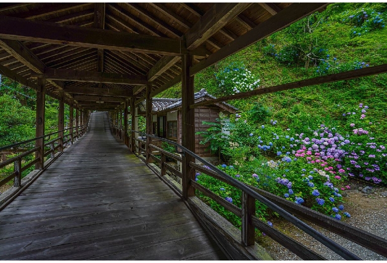 妙法寺