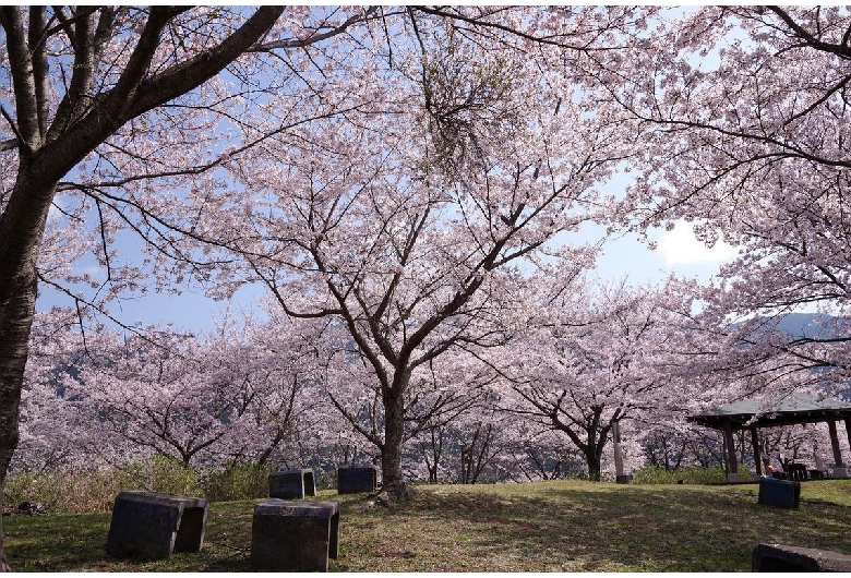 うつぶな公園