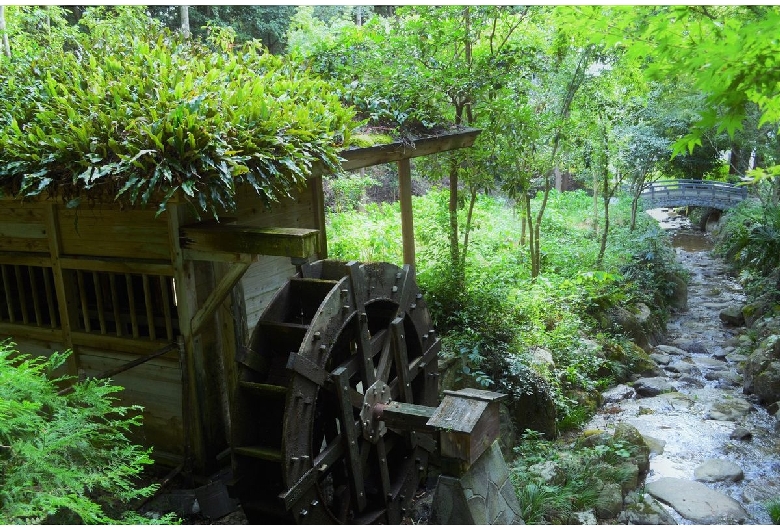 東大寺別院阿弥陀寺