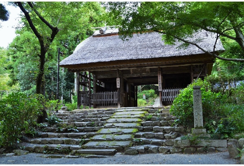 東大寺別院阿弥陀寺