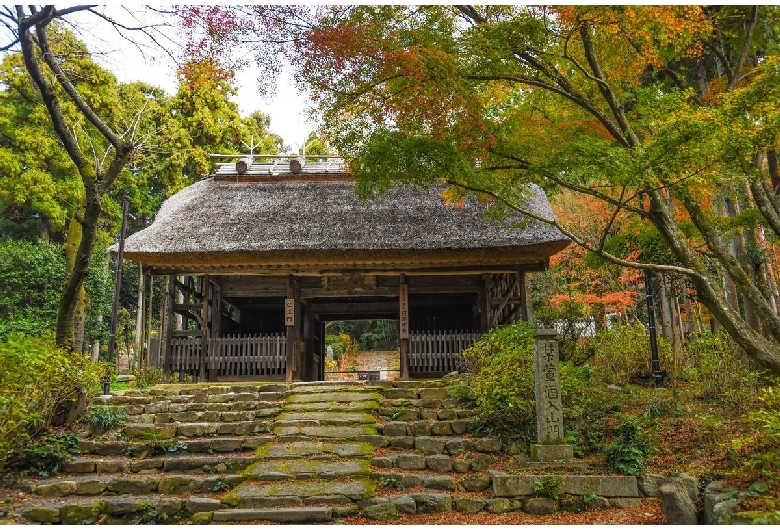 東大寺別院阿弥陀寺