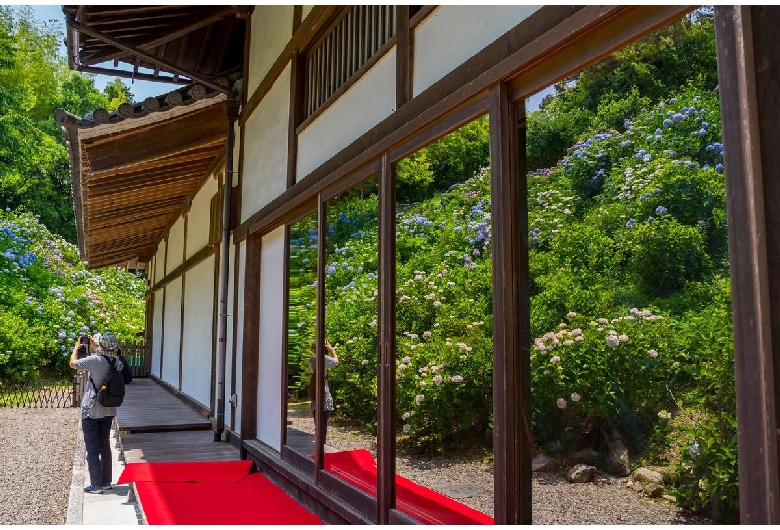 丹州観音寺