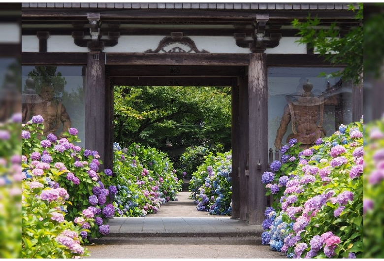 丹州観音寺