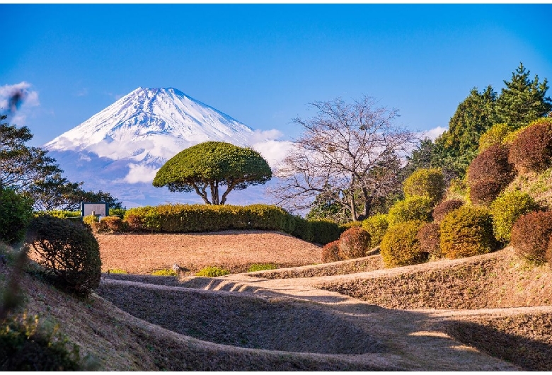 山中城