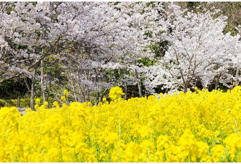 神戸総合運動公園