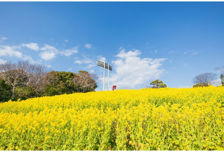 神戸総合運動公園