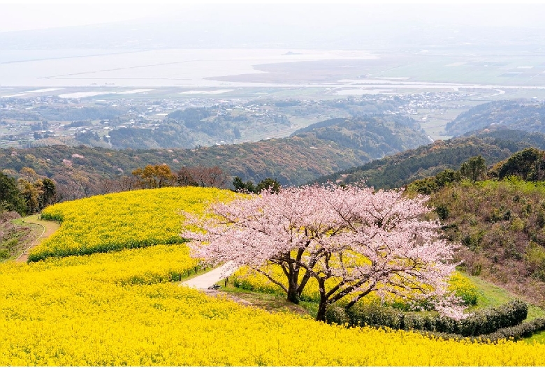 白木峰高原