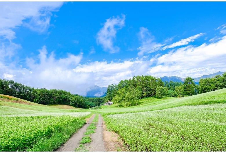 中山高原