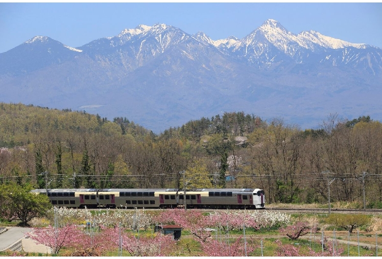 塩山桃源郷