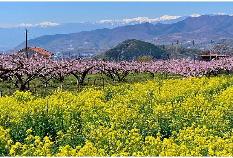 塩山桃源郷