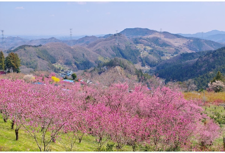 花桃の郷