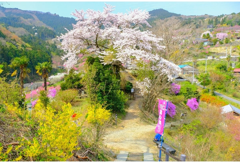 花桃の郷