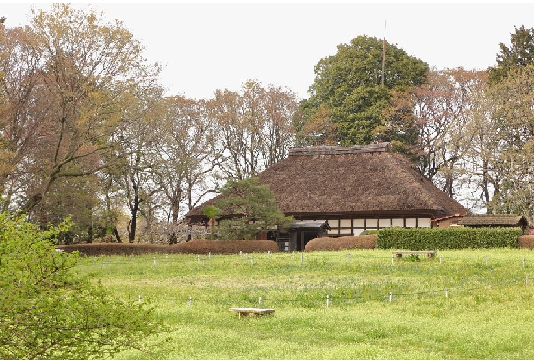 古河公方公園（古河総合公園）