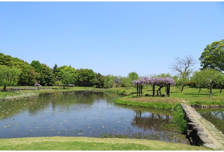 古河公方公園（古河総合公園）