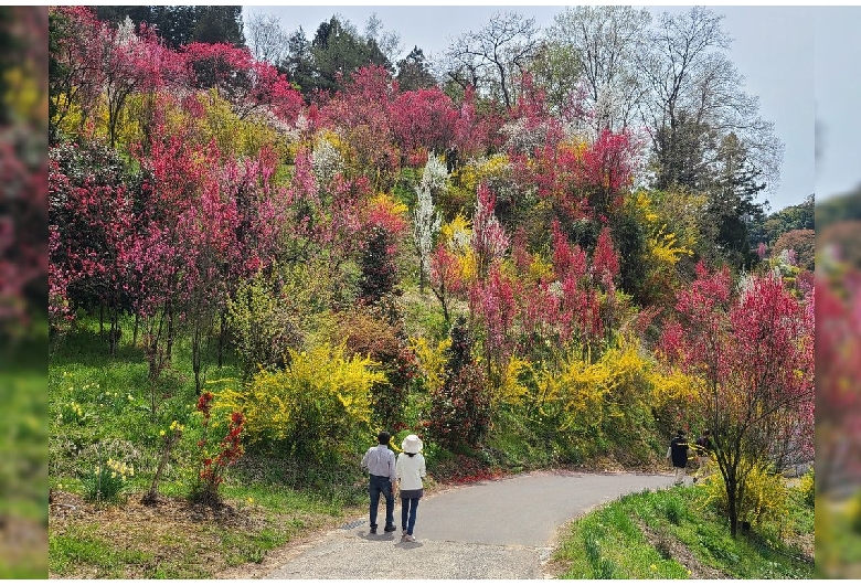 花やしき公園