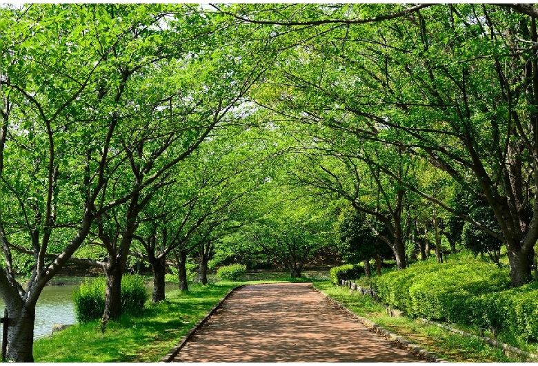 駕与丁公園