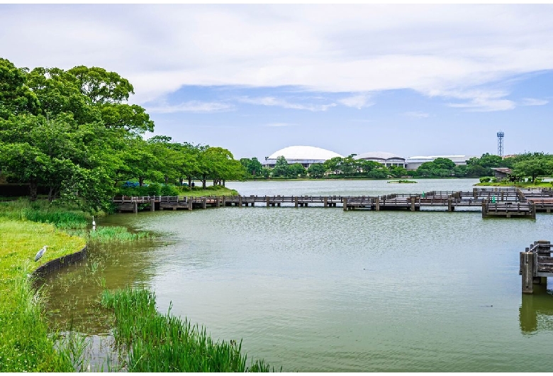 駕与丁公園